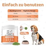 Plaque Off Pulver für Hunde 500g | Natürliche Zahnreinigung | Zahnstein Entferner & Atem Erfrischer | 100% Natürlich | DogsLife