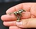 Mustang Horse Figurine Running Wild Horse Sculpture Brass Miniature Collectible Statue