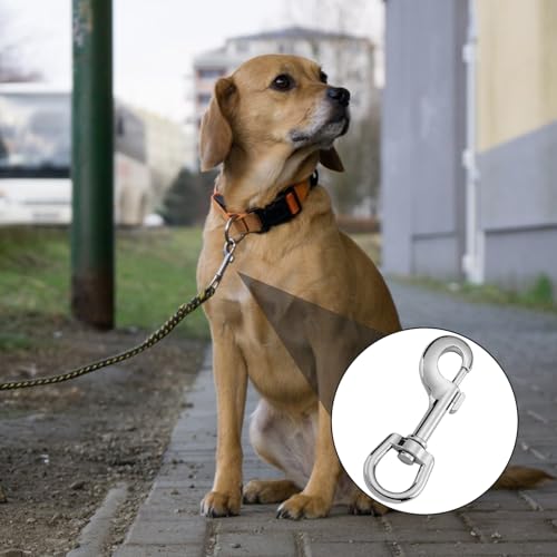 SRLWMYI Stabile Karabinerhaken mit Drehgelenk 2 Stück Edelstahl Können als Schlüsselanhänger und Karabiner Schlüsselanhänger oder für Hundeleinen Verwendet Werden