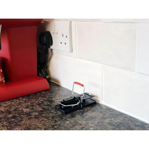 Rentokil RKLFM63 Advanced Mouse Trap, Pack of 2, Blue