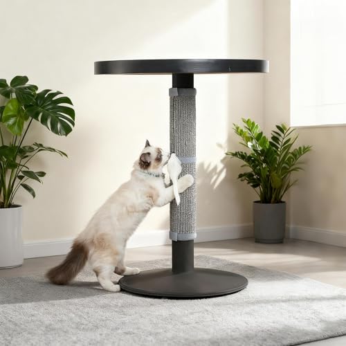 Tapis griffoir pour chat pour stopper les griffures sur canapé - 6
