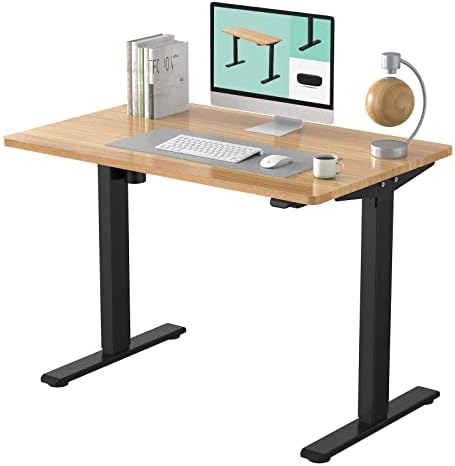 FLEXISPOT EC1 Electric Height Adjustable Standing Desk Heavy Duty Steel Stand Up Desk Frame w/Automatic Smart Keypad (EC1 Classic Black Frame + 48 in Maple Top 2 Packages)