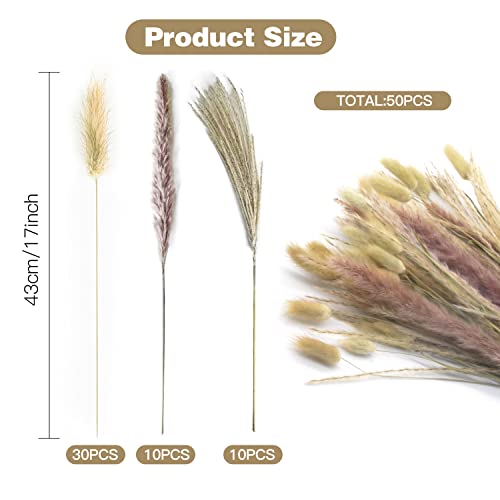 Raye Pampas Decorative,Erba della Pampas,Pampas