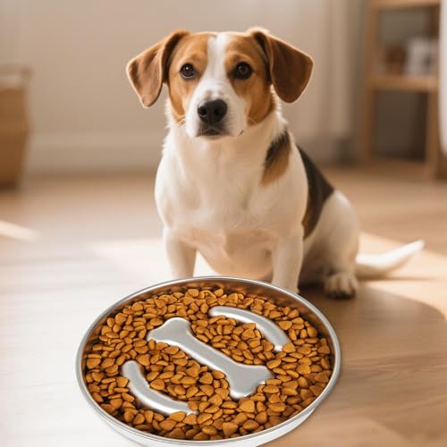 Anti-Tip Stainless Steel Slow Feeder Bowl for Dogs, Durable Feeding Dish for Medium & Large Breeds, Ideal for Beef Jerky & Diced Chicken, Encourages Slower Eating for Better Digestion – Bild 3