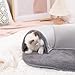 Zkhxhtg Compacts Cats Exercise Tunnel Security Senses Tunnel Pet House Educational Toy for Playtimes and Training in Apartments