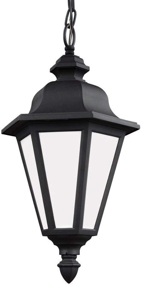 Seagull Sea Gull 69025-12 Transitional One Light Outdoor Pendant from Brentwood Collection in Black Finish