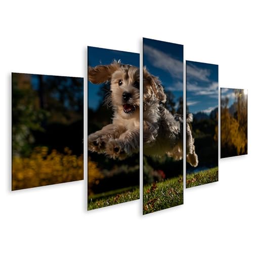 Tableau sur toile pour salon islandburner chiot Cockapoo décoration murale 5 pièces moderne