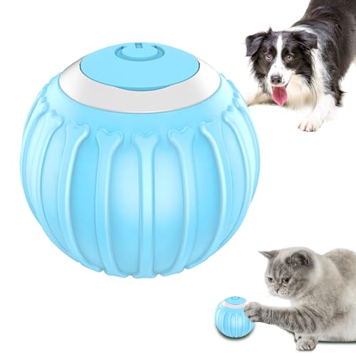 �A�N�e�B�u���[�����O�{�[�� - ���c�� |�C���^���N�e�B�u�ȔL�̂������� |���[�r���O�{�[�����p�������� | 2 �̉H�̔����������I�Ɉړ����钹�̃{�[�� |�^�b�`�A�N�e�B�x�[�V���� |��������