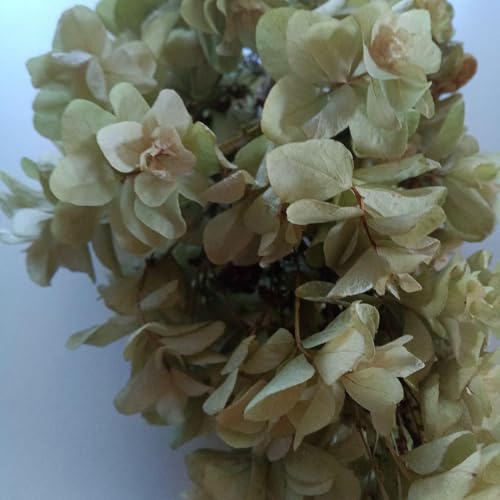 hCt[@JVoAWTC2AAWTC1AA[eB`[N2