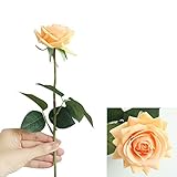 Perfectas para hacer decoraciones en puertas, alféizares de ventanas, macetas, jardineras, tanto en arreglos exteriores como interiores..