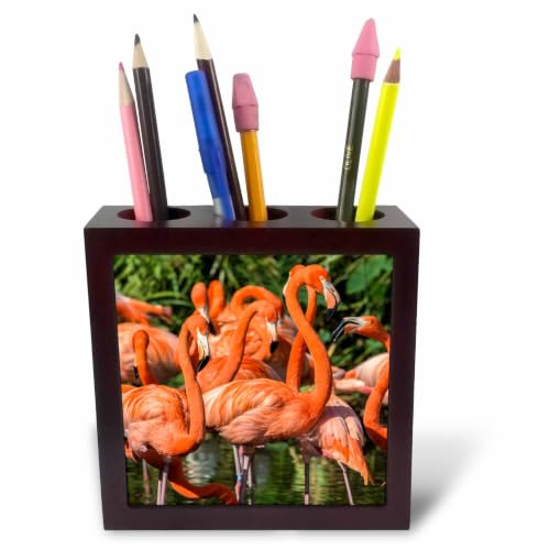 3dRose Florida, Orlando, Pink Flamingos 5 inch tile pen holder