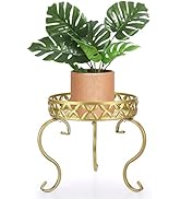 ESCALIER POUR PLANTES,FLEURS Escaliers,Fleurs Étagère,Porte-Fleurs En