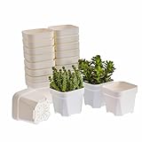 BangQiao 20 Pack 4.75 Inch Small White Plastic Square Nursery and Seedling Pot with Drainage Hole for Germination, Cactus, Herb, Succulent