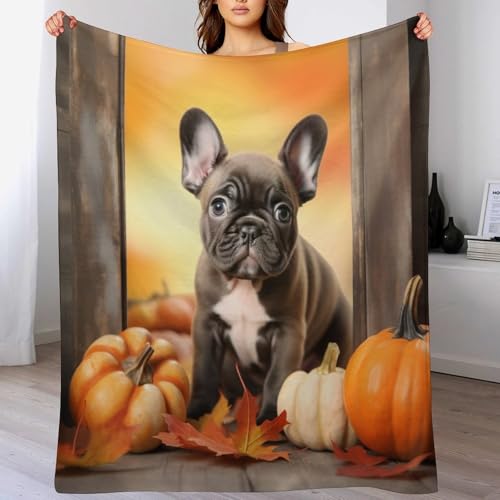 Manta de franela Bulldog francés de 130x150 cm lavable para sofá