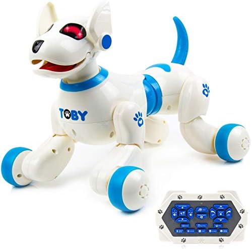 remote control dog argos