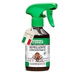 RepellShield® Spray Anti Scarafaggi e Antiblatte per Interno - 250ml - Repellente Blatte Naturale - Protezione Duratura Contro Tutti i Tipi di Scarafaggi - Comoda Alternativa a Gel per Scarafaggi