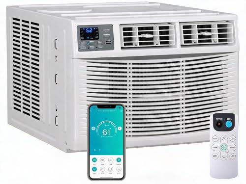 Patikuin 18000 BTU Window AC and Heater Combo