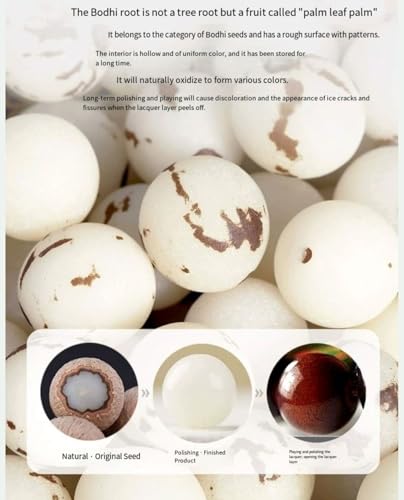 Natural Bodhi Seed Bracelet, 12mm Round White Beads, for Men and Women3