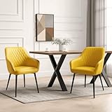 HOMAVO Esszimmerstühle 2er Set mit Armlehnen – Bequeme Stühle mit breiter Sitzfläche und einfachem Aufbau – Für Esszimmer, Wohnzimmer oder Büro