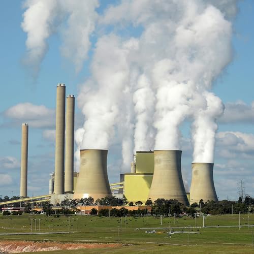 How Australia’s Climate Fight Was Rekindled