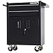 TANKSTORM Tool Chest Heavy Duty Cart Steel Rolling Tool Box with Adjustable Shelf Inside and Lockable Drawers and Doors (TZ15A Black)