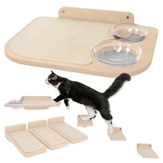 Wall-Mounted Cat Shelves with Food Bowls