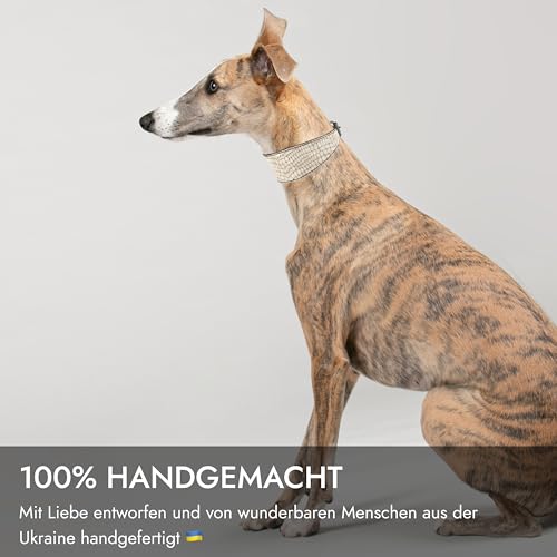 FAVPET Luxus Echtleder Windhund Halsband Breit mit QR Code Anhänger, Weiches Lederhalsband Hund Breit Whippet Italienisches Windspiel Saluki Lurcher Spanischer Galgo Greyhound Podenco (Beige, M)