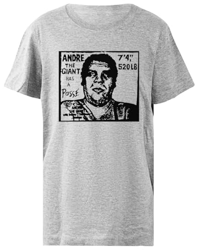 T-shirt André Girrisaan Posse Qaba gris kid une coupe regular parfaite