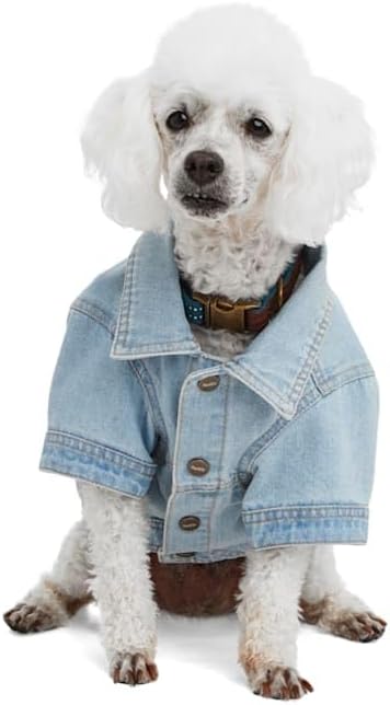 Reddy by Petco Denim Jacket for Dogs Blue Large