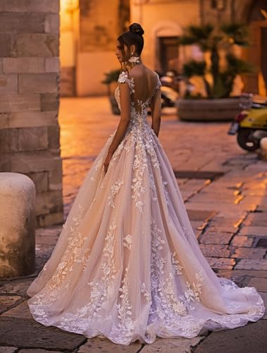 Zeeyecie V Back Wedding Dresses Sexy Elegant A-Line Glitter Lace Applique Floor Length Long Bridal Gown for Bride 20253