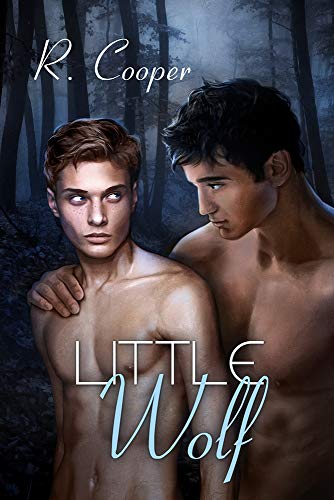 Little Wolf view 2