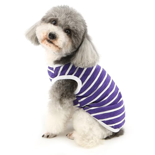 Ropa para gatos transpirable y ligera de verano 5