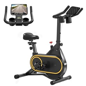 Soozier Exercise Bike, Magnetic Resistance Exercise Bike with LCD Display, Low Noise Stationary Indoor Cycling Bike with Adjustable Handlebars, Comfortable Seat for Home Workout