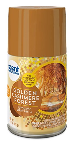 Scent Celebrations Amber Woods Automatic Spray Refill, Golden Cashmere Forest, 6.2 Fluid Ounce (Pack of 6)