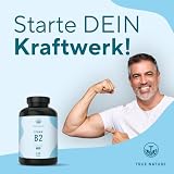 Vitamin B2 Riboflavin - Hochdosiert: 250mg Riboflavin - 240 Kapseln (Big Pack) - Unterstützt Energiestoffwechsel, Haut und Nerven - Laborgeprüft - Vegan & Deutsche Produktion - TRUE NATURE