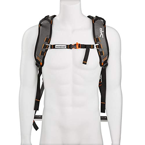 image for Piggyback Rider SCOUT model - Child Toddler Carrier Backpack for Hikin