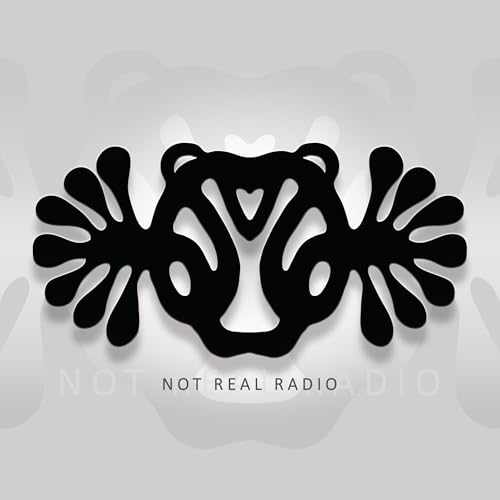 Not Real Radio cover art