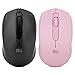 Rii Ratón inalámbrico RM100+, para PC, Portátil, Windows, Ofimática. 1000 dpi. Incluye Receptor USB (Nergo) (RM100+ Two Pack)