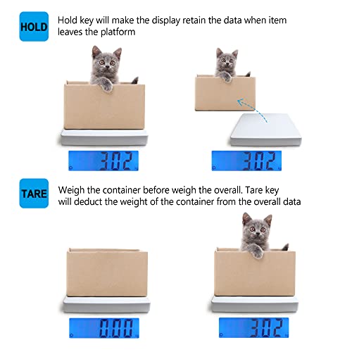 Brmdt Digital Scales For Body Weight Heavy Duty For Hospital & Physician Use, Large Digital Display And Base With The Ability To Weigh Up To 660Lbs/300Kg (White, Dt-550) #TOP5