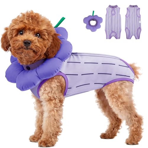 EMUST Recovery Suit for Small Dogs After Surgery, Soft E-Collar Alternative Surgical Wear, Breathable Anti-Licking Post-Op Clothes for Spay, Birth Control & Comfortable Recovery(Grapes,L)