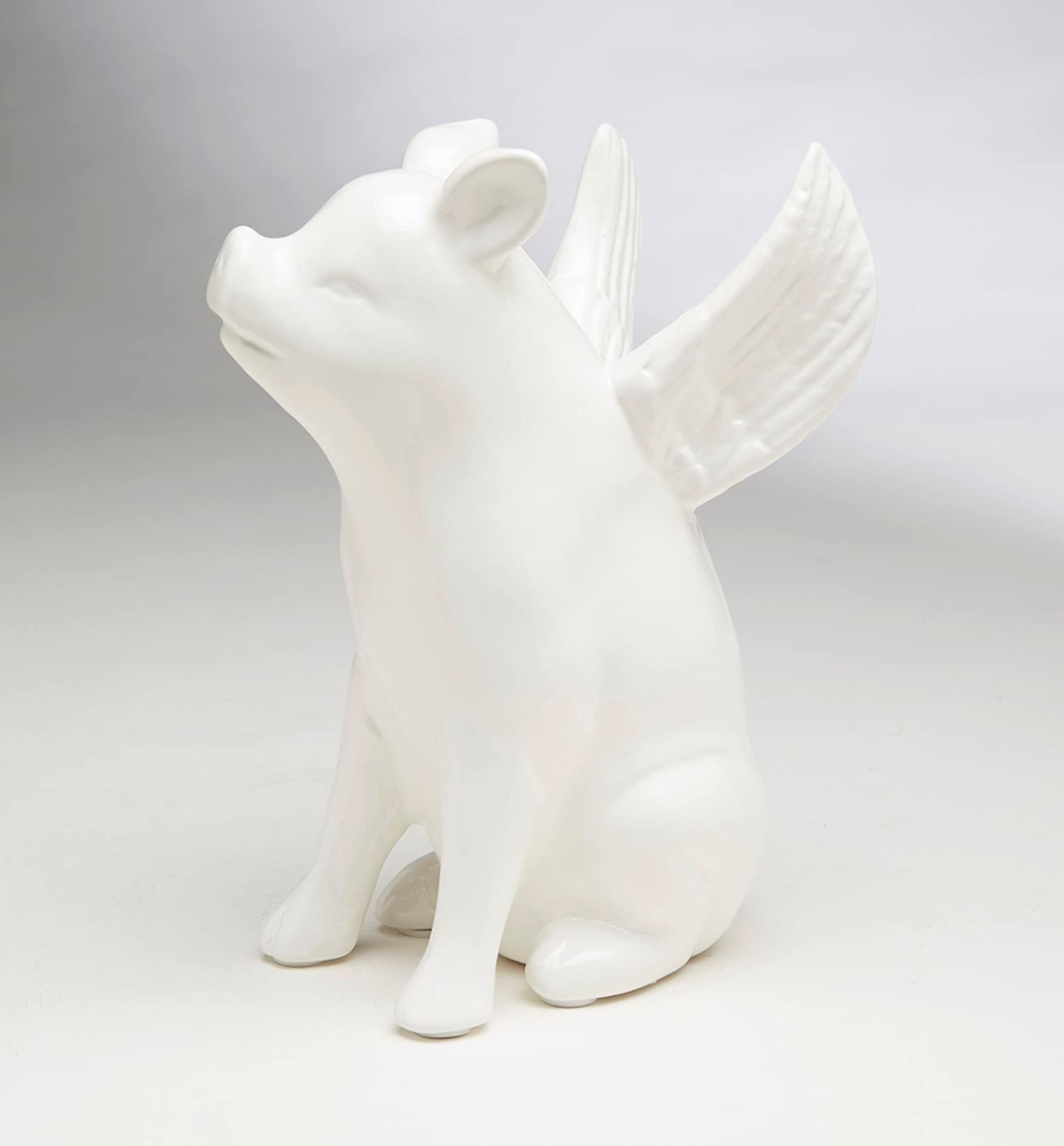 Amazon.com: AA Importing Ceramic Sitting Pig with Wings, White
