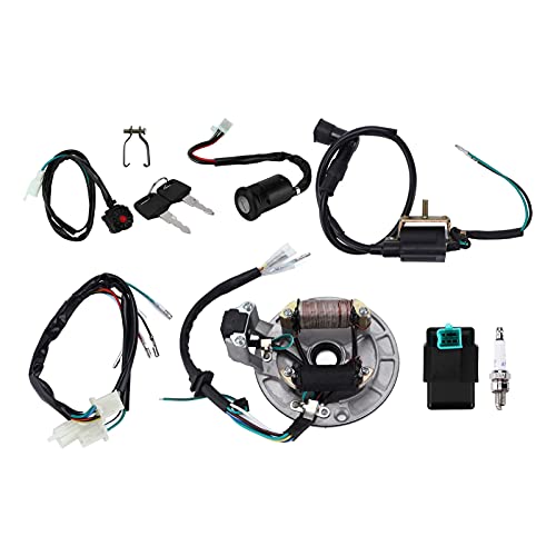 Bobina de encendido CDI Bujía Cable Arnés Magneto Estator Kit, Magneto Estator Eléctrico Arnés de cableado Relé solenoide para 50cc -140cc Kick Start Dirt Pit Bike ATV