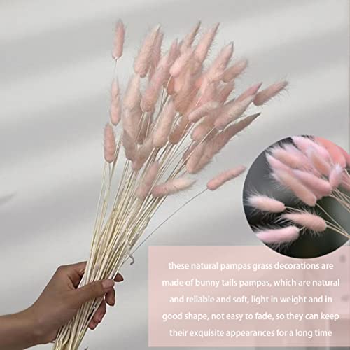 Dried Bunny Tail Flower Bouquet Natural 50 cm 50 pcs miniatura 7