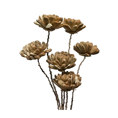 Ramo de 6 tallos de flores de madera de Sola orgánica miniatura 1