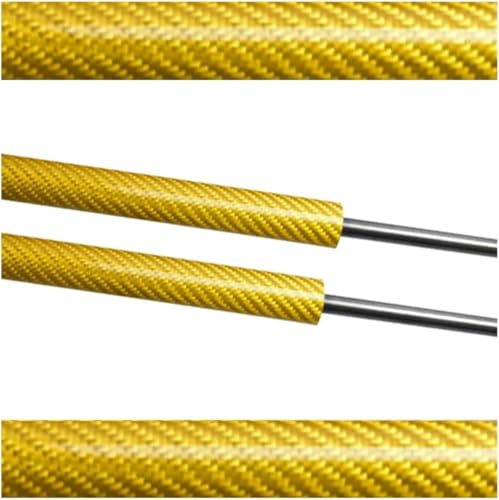 Supports de levage de capot et vérins à gaz pour hayon fatigué de GS L10