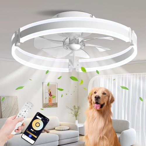 BAYSQUIRREL Ceiling Fans with Lights and Remote, Low Profile Ceiling