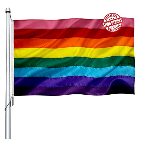 8/6 Sewn Stripes Gay Pride Rainbow Flag 3X5 Outdoor Heavy Duty Gay Pride Lgbt Premium Quality Pride Flag For Window… #TOP7