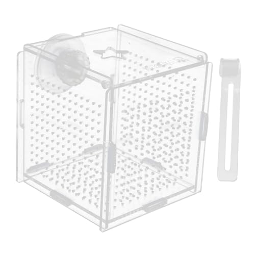 Gadpiparty 1 セット ベタボックス ヒータ 水族館 真空 透明 区画 フィルター filter 飼育者 水槽孵化場インキュベーター 水槽繁殖孵化場 魚飼育箱 Transparent