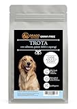 DRAGO PETFOOD Trockenfutter für ausgewachsene Hunde – Lachs und Forelle mit Spargel – Grain Free Hypoallergen 50% Lachs und Forelle – Beutel 2 kg