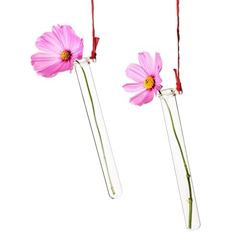 Tuuters 5pcs Flower Test Tube Holder Set Cover